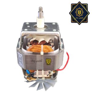 موتور آبمیوه گیری گاسونیک