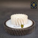دنده چرخ گوشت گاسونیک