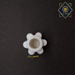 رابط غذا ساز بوش