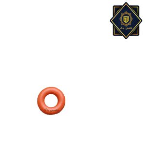 اورینگ مخصوص سر شیلنگ اسپرسوساز