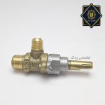 شیر مخصوص تکنویی