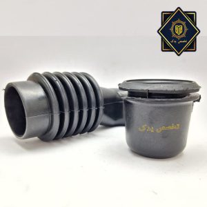 خرطومی جا پودری الجی